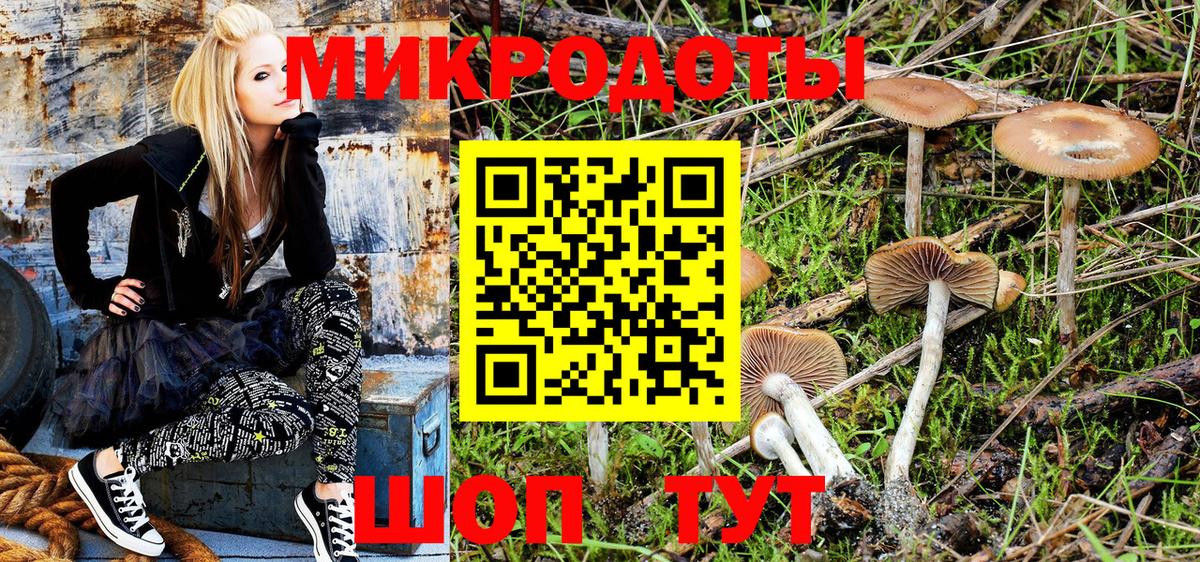Псилоцибиновые грибы Cubensis Урус-Мартан
