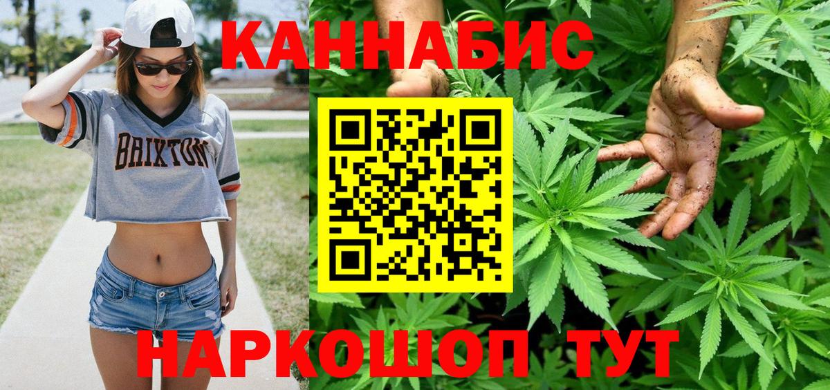 Бошки Шишки семена Урус-Мартан